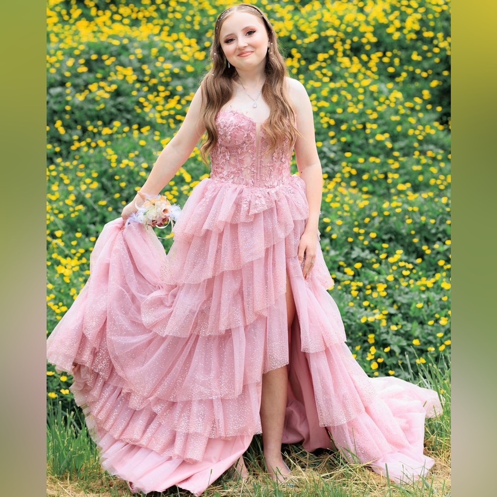 ༆Alyce Paris #61525 Lace/Glitter Tulle Rosewood Prom Dress Size 2༆